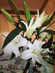 -FineYoga梵音瑜伽·普拉提