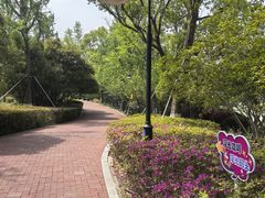 -金鸡湖桃花岛
