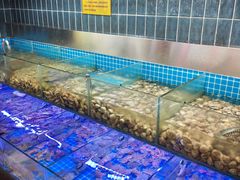 -海韵之星邮轮水会(明发商业广场店)