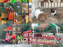 -白马涧龙池景区