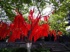 -窦圌山风景区