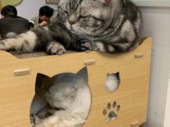 -小时光咖啡馆(北锣鼓巷店)