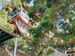 -宝莲禅寺