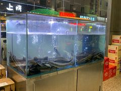 水产区-本炙炭烤·蒲烧活鳗料理店(金沙洲店)