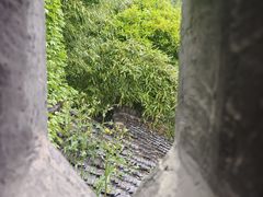 -何园