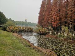 -艾溪湖湿地公园