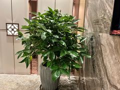 -粤凤佬·臻品(朝阳公园店)