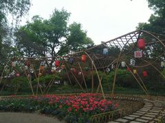 -上海醉白池公园
