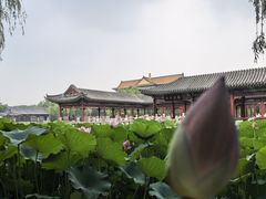-大明幻境第一城