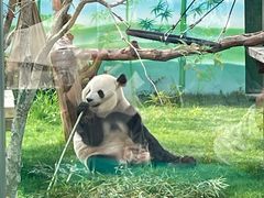 -无锡动物园·太湖欢乐园