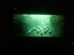 -聊城（闸口）时代影城