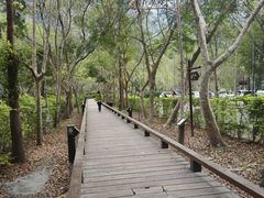 -太鲁阁公园