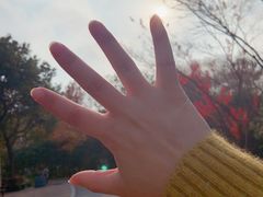 -昆山城市生态森林公园