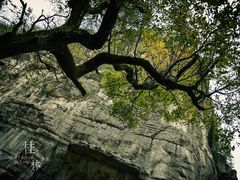 -桂林独秀峰王城景区