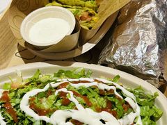 -油梨树 AVOCADO TREE(亮马桥店)