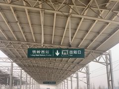 -金星烧烤