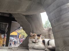 -西安大兴善寺