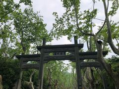 -杭州黄龙洞