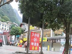 -大师傅金奖啤酒鱼(西街口总店)