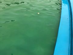 -沈阳龙润夏宫温泉水乐园
