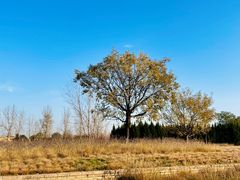 -汉长安城未央宫国家考古遗址公园