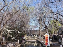 -春风习习