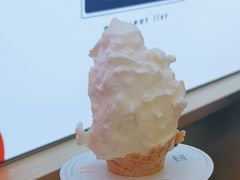 -野人先生现做冰淇淋(西安赛格店)