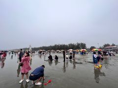 -江山半岛白浪滩景区