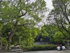 -柳侯公园