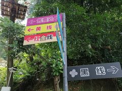 -天鹿湖森林公园