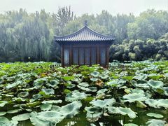 -毛遂公园