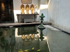 -觀芷隐轩