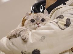 -奈雪的茶(国金中心店)