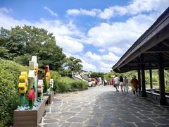 -济州森林小火车生态公园
