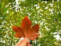 -白塘生态植物园