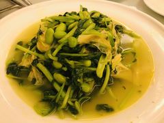 腐皮鸡毛菜-冶春茶社(官园桥店)