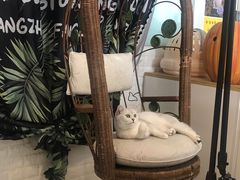 -平行世界·猫咖(首经贸店)