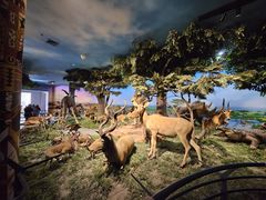 -国家自然博物馆