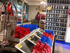 -猫咪博物馆(顶澳仔猫街店)