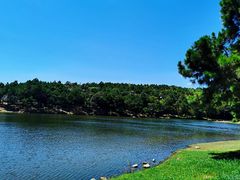 -南京市无想山景区