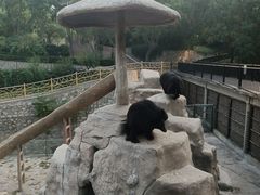 -石家庄市动物园