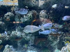 -北京海洋馆