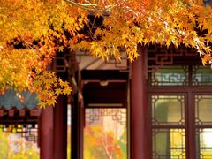 -堤角公园