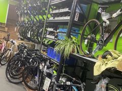 -道路口单车爱瓦士dahon大行