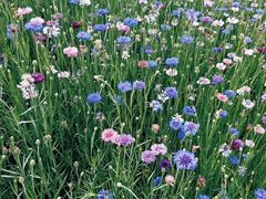 -仙海旅游度假区