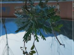-北仑森林植物园