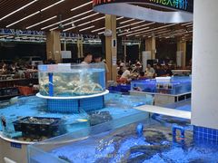 -皮记海鲜1995(寮步店)