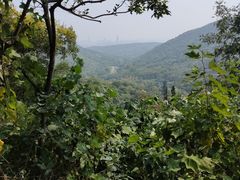 -老山国家森林公园