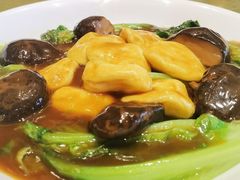 金钱鱼腐扒菜胆-龙庭华宴·粤菜·早茶