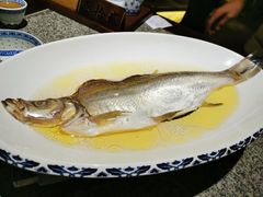 清蒸白鱼-南京大牌档(济南万象城店)